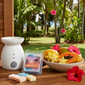 Tropical Breeze Wax melts